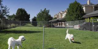 Lowry Park Gallery 24