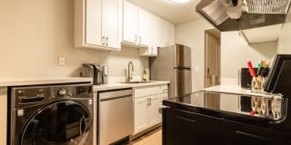 The Element The Element Gallery 11