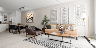 Bella Vista Gallery 13
