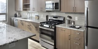 AVA North Point Gallery 15