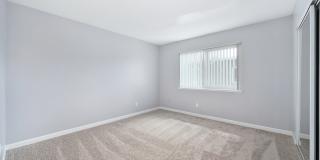 The Canopy Gallery 27