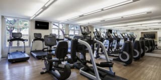 Avalon Towers on the Peninsula Gallery 23