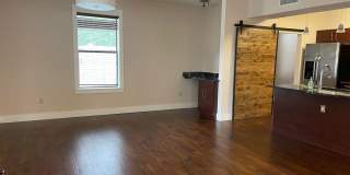 Bayshore 5 Gallery 5