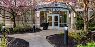 Halstead Burlington Gallery 28