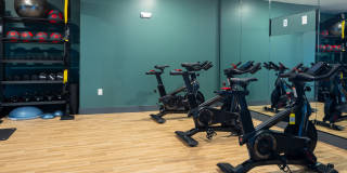 Legacy Metro 525 Gallery 48