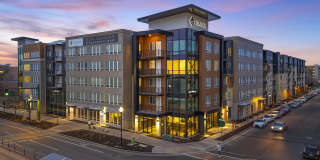 The Gauge Gallery 25