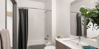 The Frasier Gallery 7