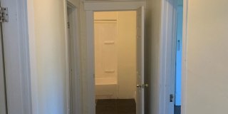 Treetop views in North Avondale Gallery 11