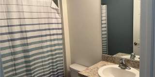 8187 Gopher Tortoise Trail Gallery 10