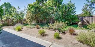 Wonderful Atrium Eichler in the Heart of Greenmeadow Gallery 22