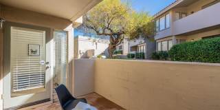 1820 E MORTEN Avenue Gallery 29
