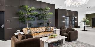 The Holly by Soleste Gallery 10