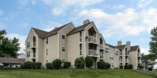 Whispering Lake Gallery 27