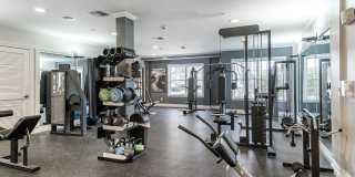 Sofi at Salem Station Gallery 15