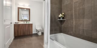 Harbor Landing Gallery 16