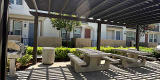 12432 Constellation St Gallery 49