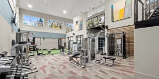 Cortland Duluth Gallery 15