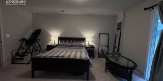4959 Lexi Ln - 1 Gallery 64
