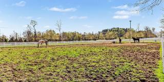 10878 FOXTROT Circle Gallery 39