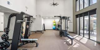 Konrad Gallery 14