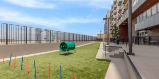 Live Grandscape Gallery 20