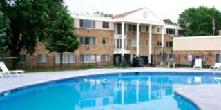 Willows on France Gallery 60