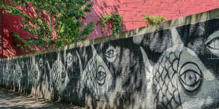 Janus Apartments Gallery 29
