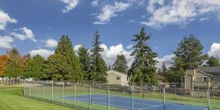 Alderwood Heights Gallery 21