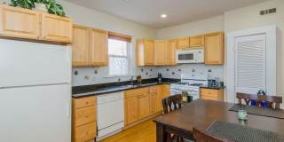 Sunny 2 Bed in Jamaica Plain Available 8/1/26 Gallery 5