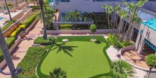 1560 GULF BOULEVARD Gallery 50