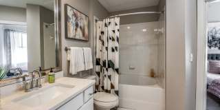 2929 Wycliff 2929 Wycliff Gallery 21