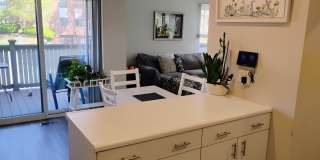 3061 Pheasant Creek Drive Gallery 10