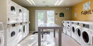 Cedar Breaks Gallery 18