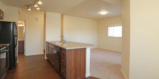 Copper Stone Gallery 6