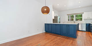 Bolin Creek 4 Bedroom House with Fabulous Forest Views Available May 15! Gallery 5