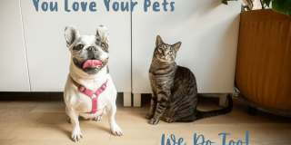 Casa de Helix Apartments Gallery 54