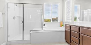 230 Steven Bridges Gallery 21