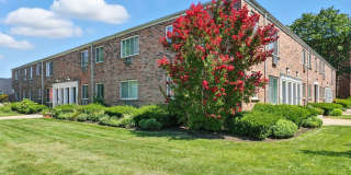 Pine Gardens Gallery 6