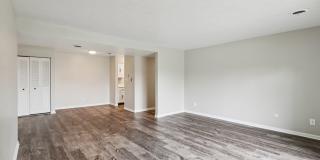 Williamsburg South Gallery 18