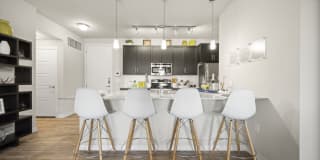 Olympus Steelyard Gallery 18