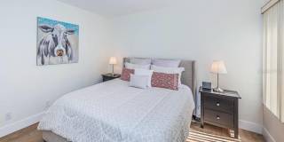 6365 BAHIA DEL MAR Boulevard Gallery 11