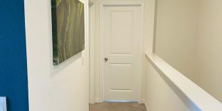 194 Mangrove Shade Circle Gallery 23