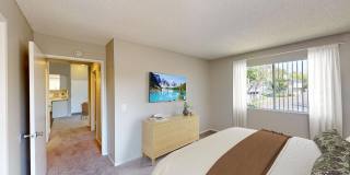 Southridge Gallery 9