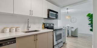 Wake Biscayne Bay Gallery 22