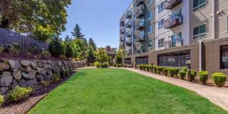 Heights By Vintage Gallery 17