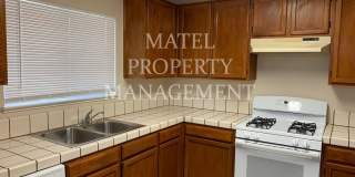 No Deposit Gallery 1