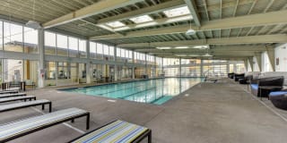 Madison Bellevue Gallery 23