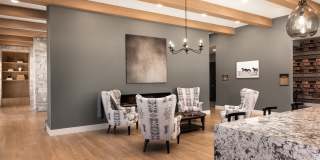 The Meadows Gallery 15