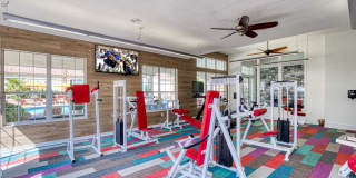 Retreat at Mesa Hills Gallery 47