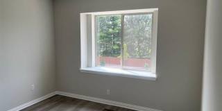 4184 SECLUDED PINES DR Gallery 20